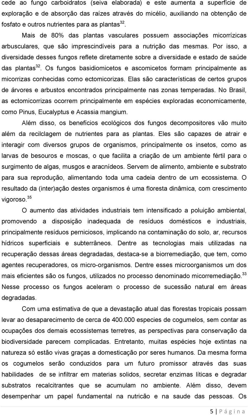 Por isso, a diversidade desses fungos reflete diretamente sobre a diversidade e estado de saúde das plantas 32.