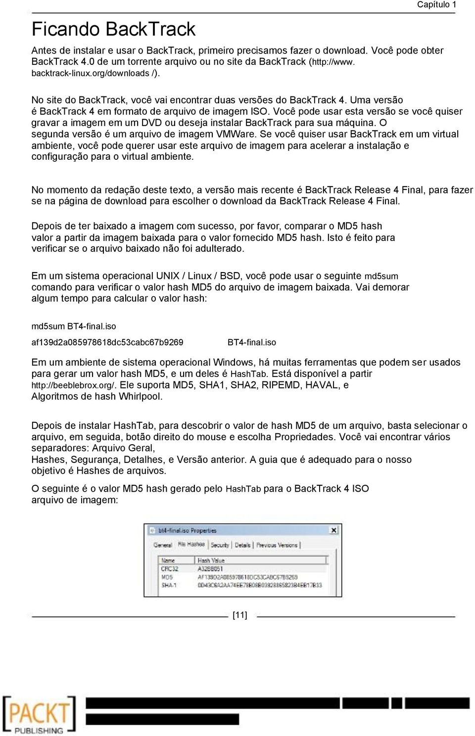 Você pode usar esta versão se você quiser gravar a imagem em um DVD ou deseja instalar BackTrack para sua máquina. O segunda versão é um arquivo de imagem VMWare.