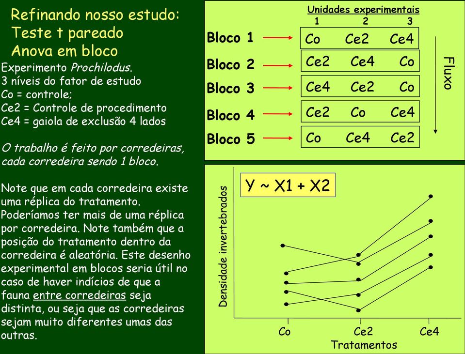 Note que em cada corredeira existe uma réplica do tratamento. Poderíamos ter mais de uma réplica por corredeira. Note também que a posição do tratamento dentro da corredeira é aleatória.