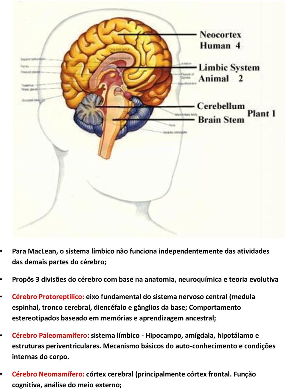 estereotipados baseado em memórias e aprendizagem ancestral; Cérebro Paleomamífero: sistema límbico - Hipocampo, amígdala, hipotálamo e estruturas periventriculares.