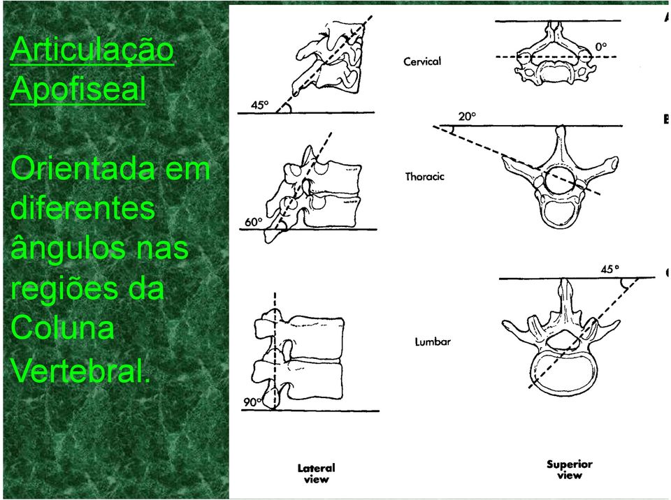 diferentes ângulos nas