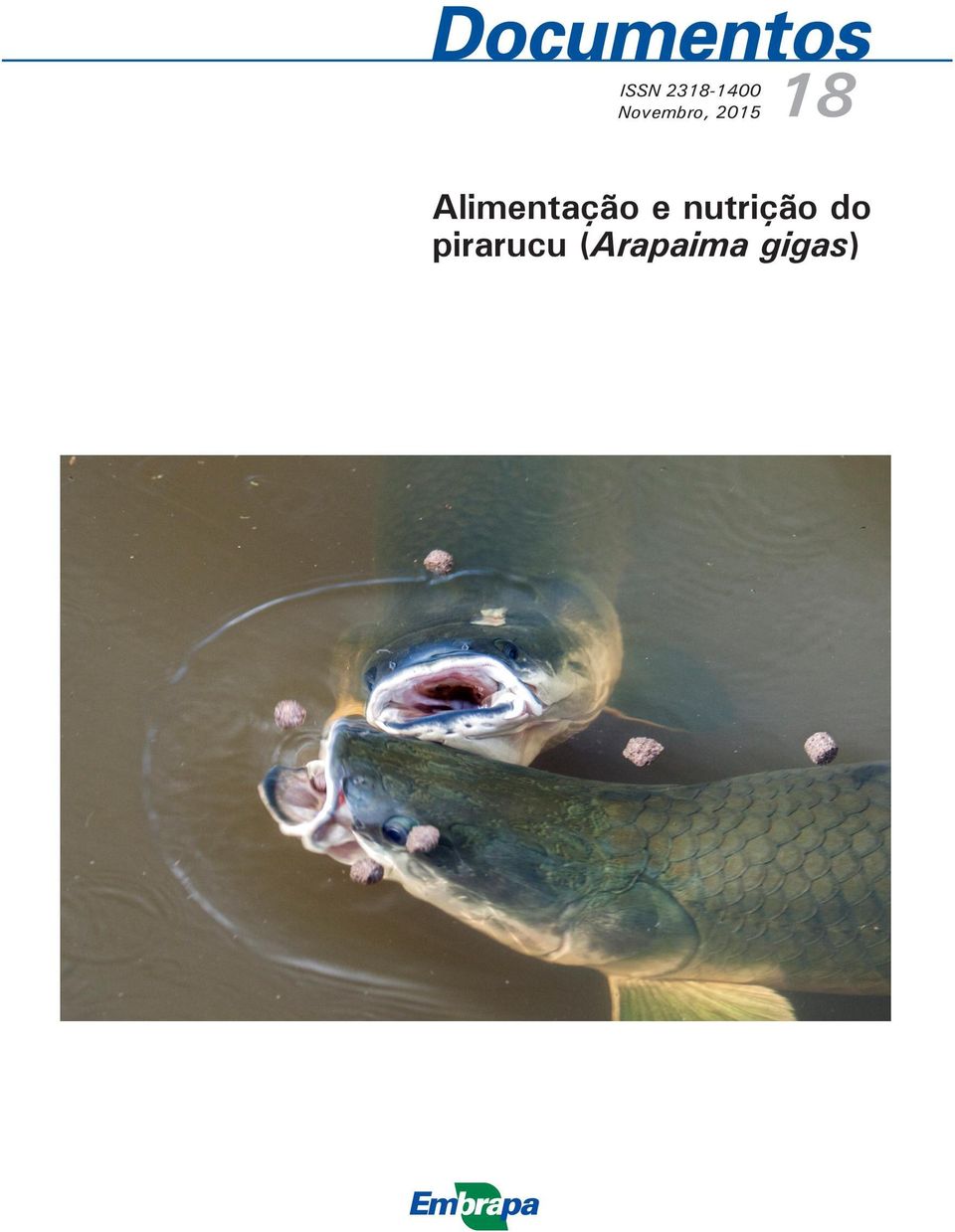 Alimentação e