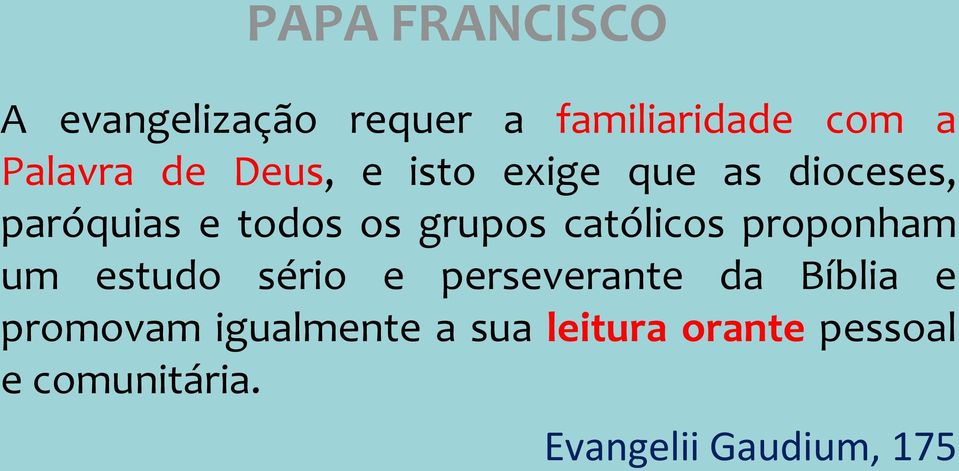 católicos proponham um estudo sério e perseverante da Bíblia e