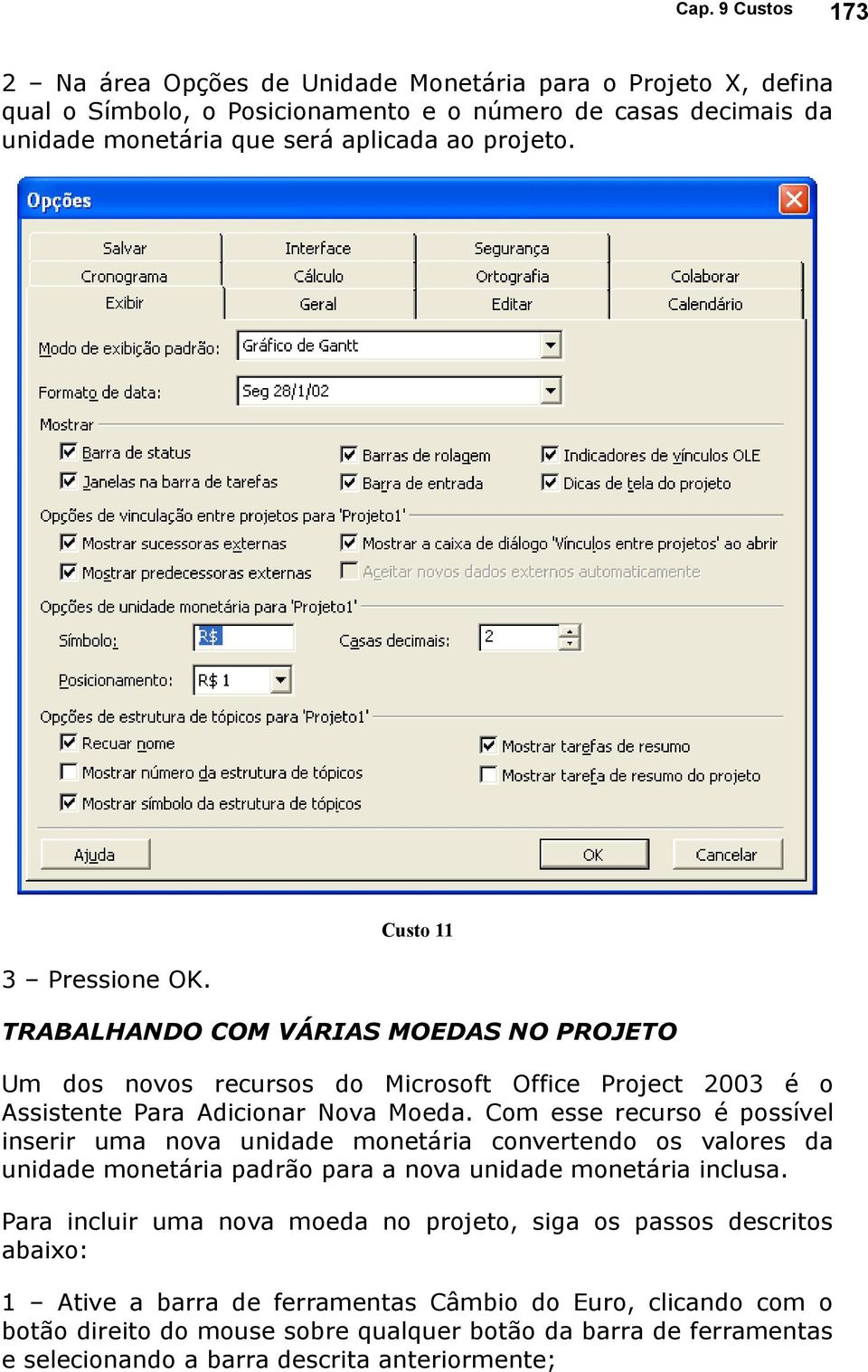 Com esse recurso é possível inserir uma nova unidade monetária convertendo os valores da unidade monetária padrão para a nova unidade monetária inclusa.