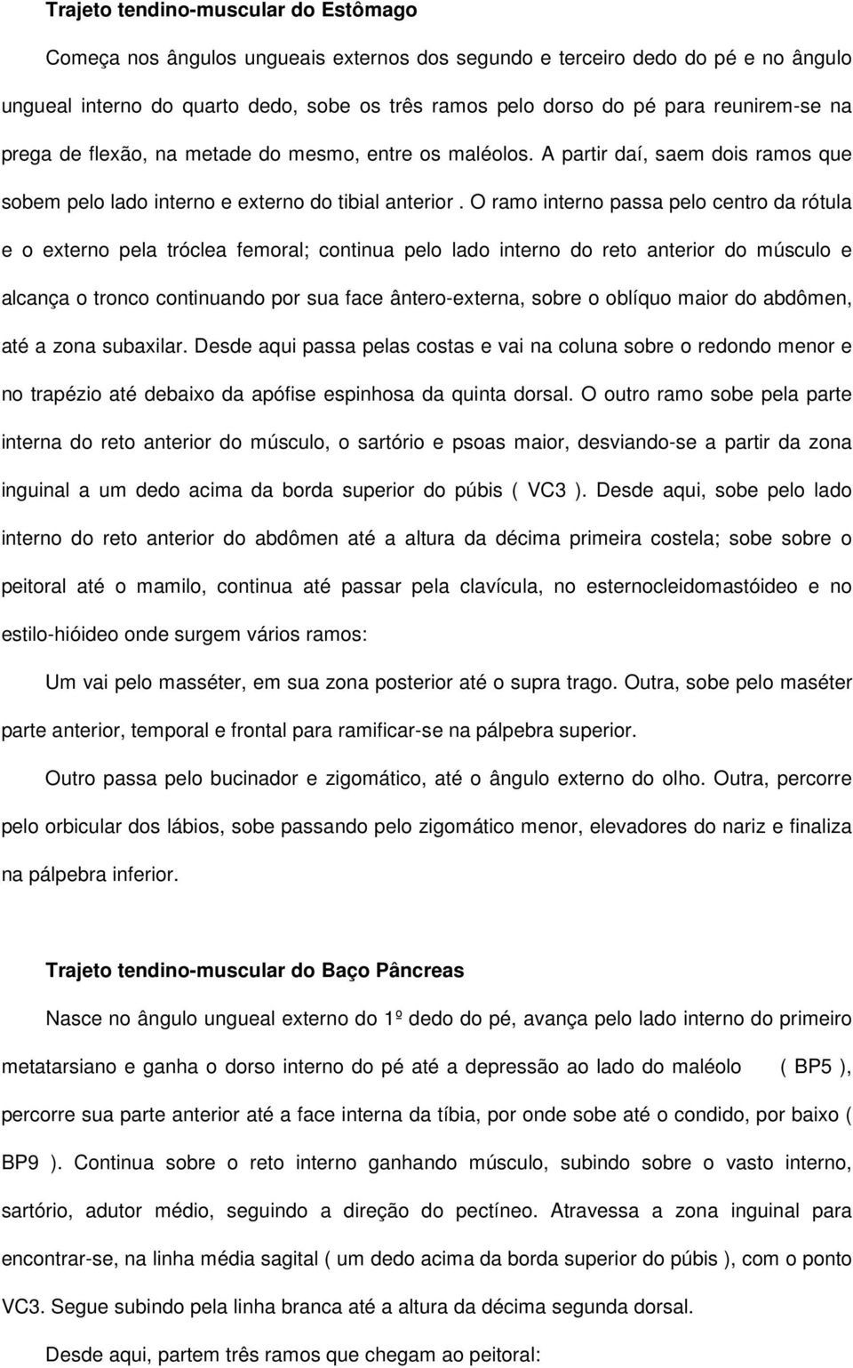 O ramo interno passa pelo centro da rótula e o externo pela tróclea femoral; continua pelo lado interno do reto anterior do músculo e alcança o tronco continuando por sua face ântero-externa, sobre o