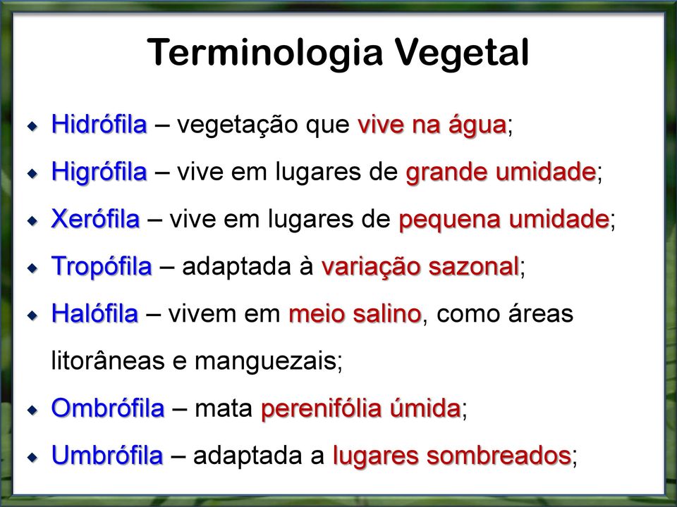 adaptada à variação sazonal; Halófila vivem em meio salino, como áreas litorâneas