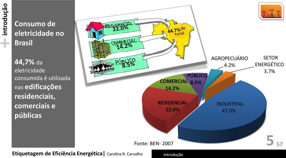 5% 14.2% RESIDENCIAL 22.0% AGROPECUÁRIO 4.2% INDUSTRIAL 47.0% SETOR ENERGÉTICO 3.