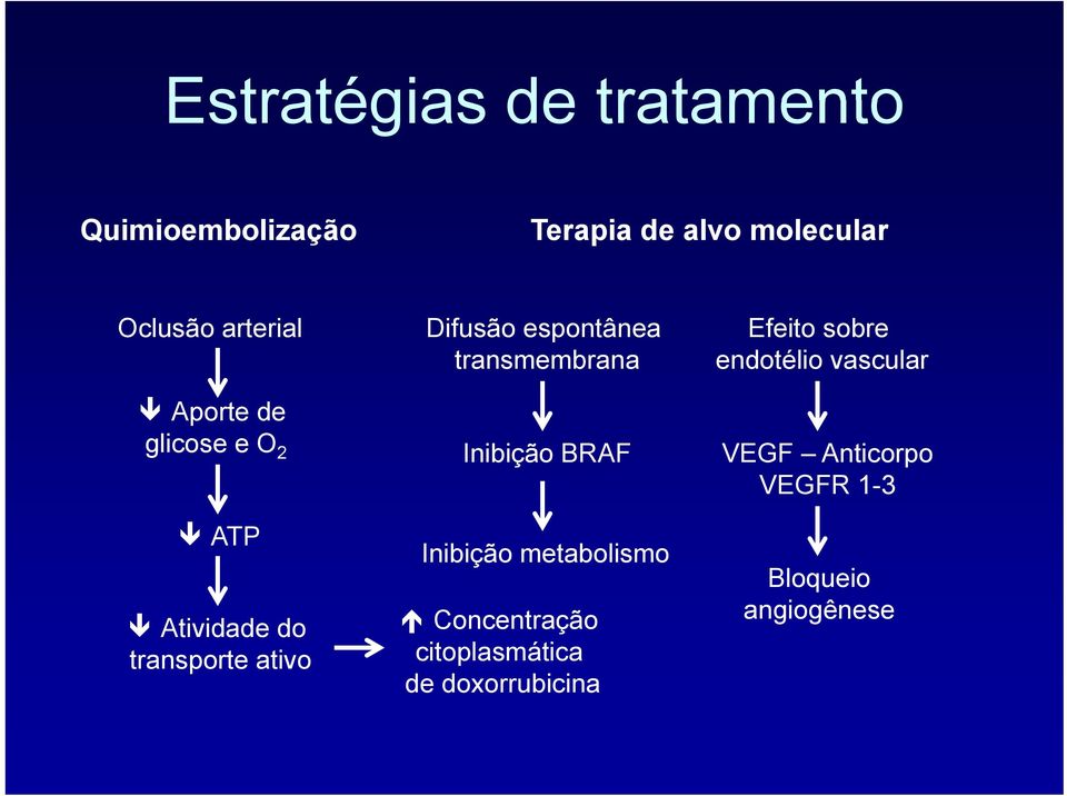 glicose e O 2 Inibição BRAF VEGF Anticorpo VEGFR 1-3 ATP Atividade do transporte