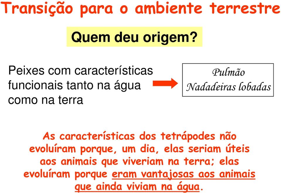 lobadas As características dos tetrápodes não evoluíram porque, um dia, elas seriam