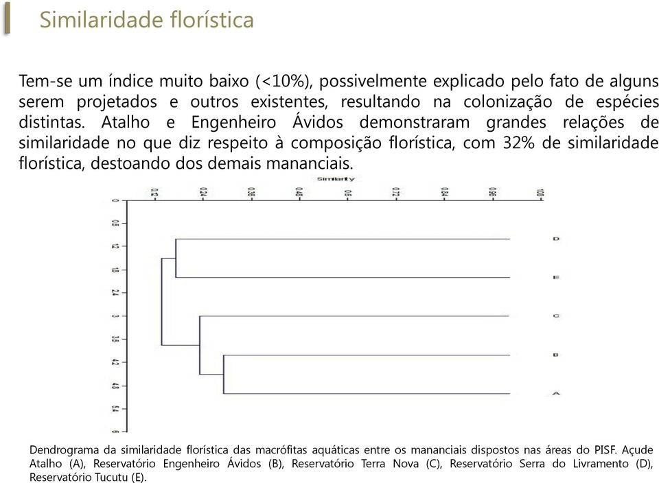 Atalho e Engenheiro Ávidos demonstraram grandes relações de similaridade no que diz respeito à composição florística, com 32% de similaridade florística,