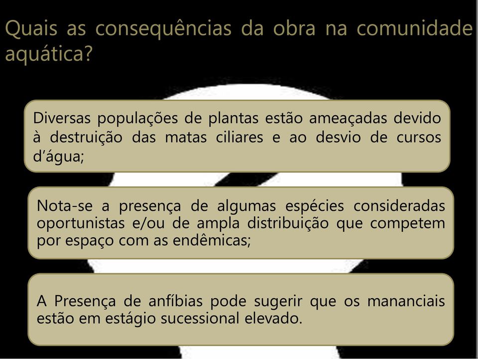 de cursos d água; Nota-se a presença de algumas espécies consideradas oportunistas e/ou de ampla