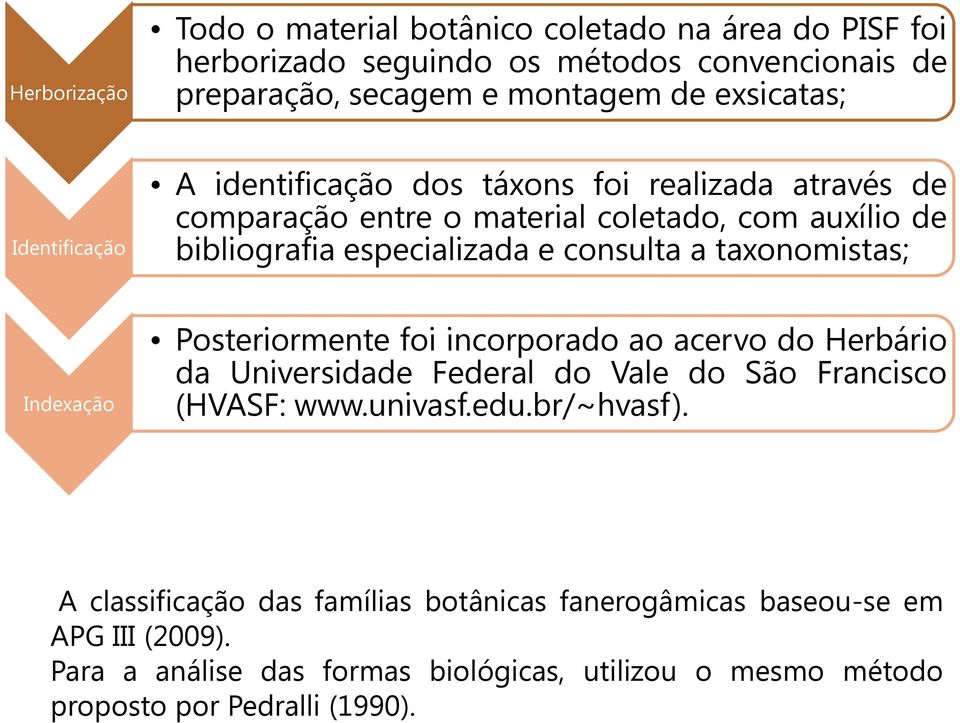 taxonomistas; Indexação Posteriormente foi incorporado ao acervo do Herbário da Universidade Federal do Vale do São Francisco (HVASF: www.univasf.edu.br/~hvasf).