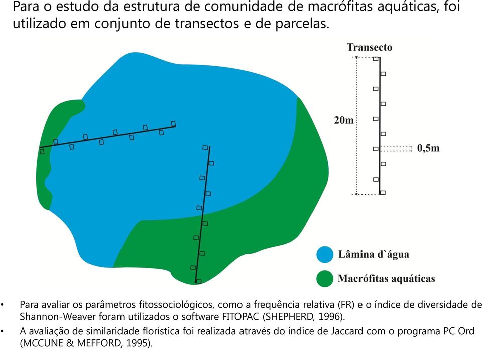 Para avaliar os parâmetros fitossociológicos, como a frequência relativa (FR) e o índice de diversidade de