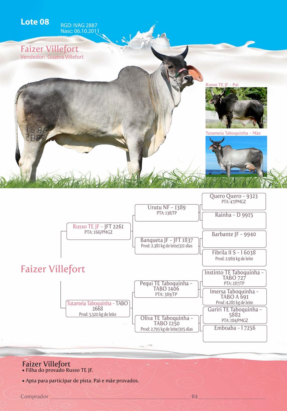 520 kg de leite Urutu NF - 1389 PTA: 138/TP Banqueta JF - JFT 1837 Prod: 2.381 kg de leite/321 dias Pequi TE Taboquinha - TABO 1406 PTA: 389/TP Oliva TE Taboquinha - TABO 1250 Prod: 2.