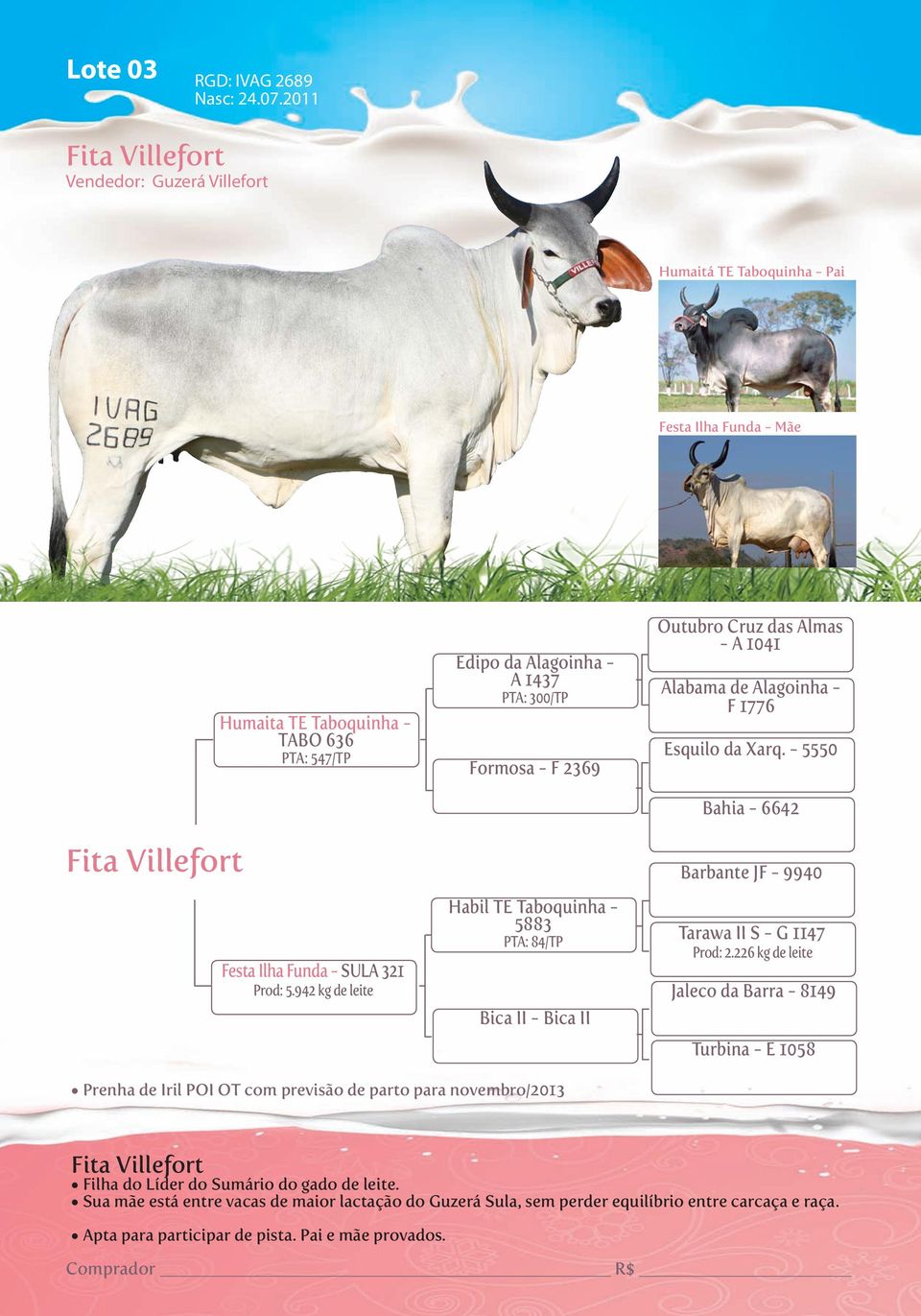 942 kg de leite Edipo da Alagoinha - A 1437 PTA: 300/TP Formosa - F 2369 Habil TE Taboquinha - 5883 PTA: 84/TP Bica II - Bica II Outubro Cruz das Almas - A 1041 Alabama de Alagoinha - F 1776 Esquilo