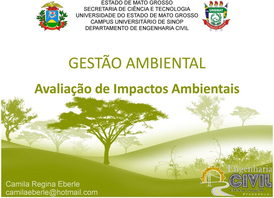 SINOP DEPARTAMENTO DE ENGENHARIA CIVIL GESTÃO AMBIENTAL