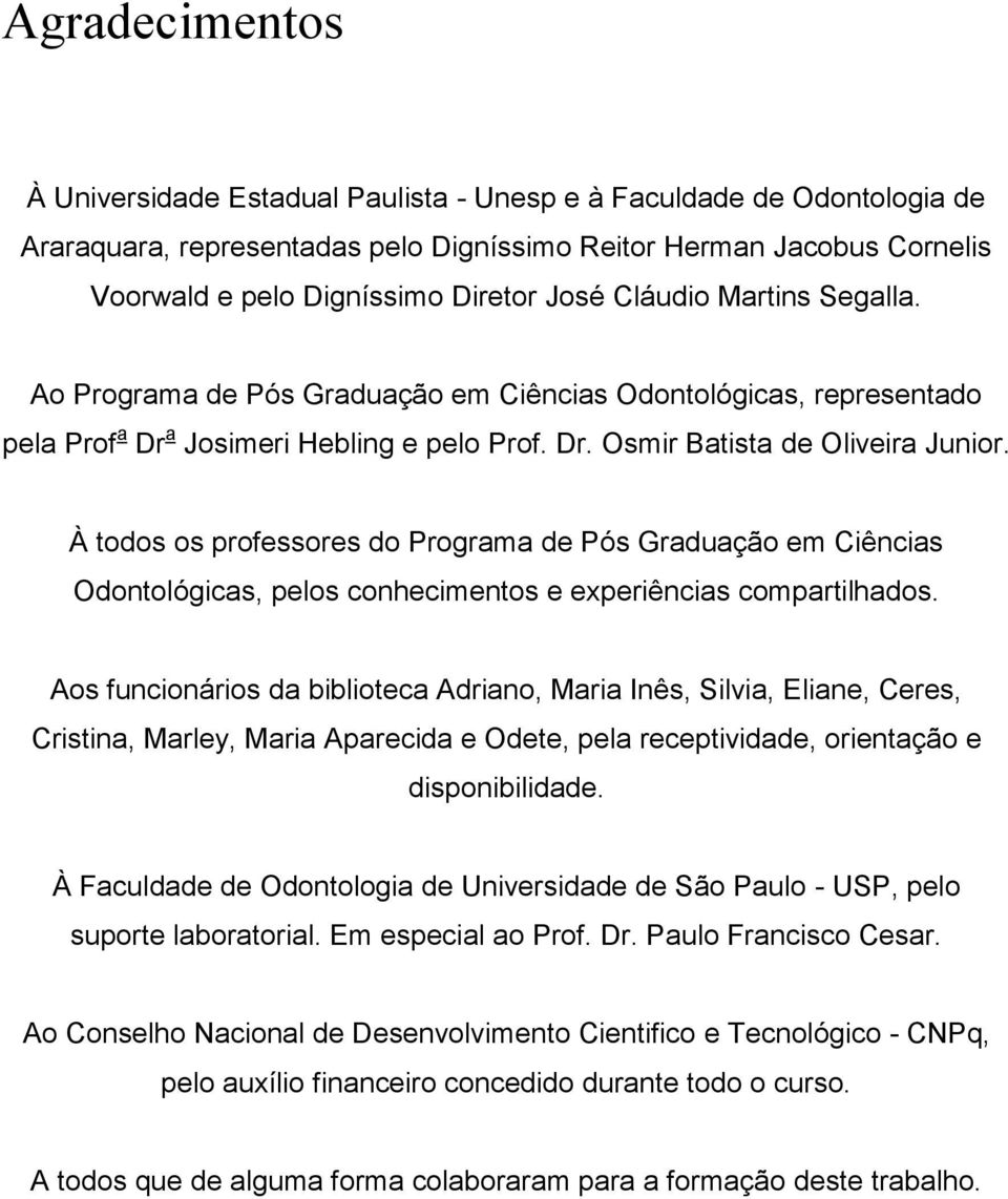 À todos os professores do Programa de Pós Graduação em Ciências Odontológicas, pelos conhecimentos e experiências compartilhados.