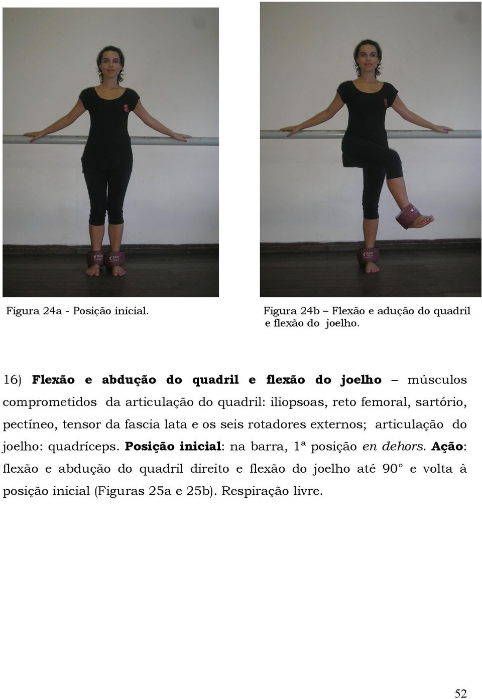 sartório, pectíneo, tensor da fascia lata e os seis rotadores externos; articulação do joelho: quadríceps.