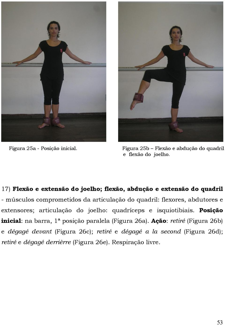 flexores, abdutores e extensores; articulação do joelho: quadríceps e isquiotibiais.