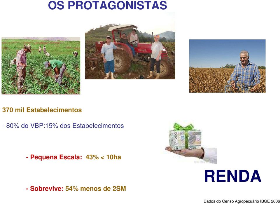 Escala: 43% < 10ha - Sobrevive: 54% menos de