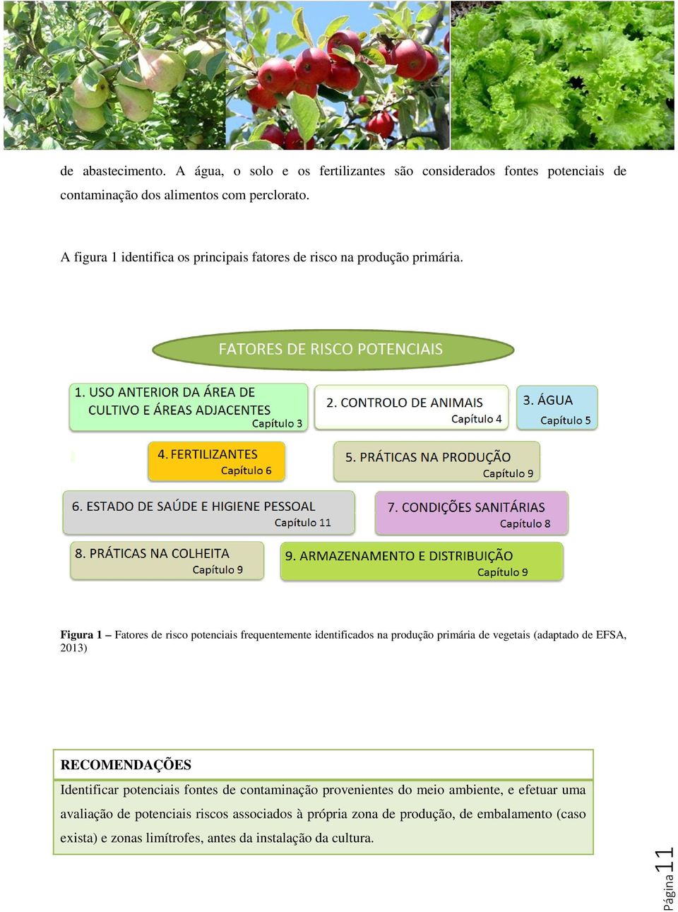 Figura 1 Fatores de risco potenciais frequentemente identificados na produção primária de vegetais (adaptado de EFSA, 2013) RECOMENDAÇÕES