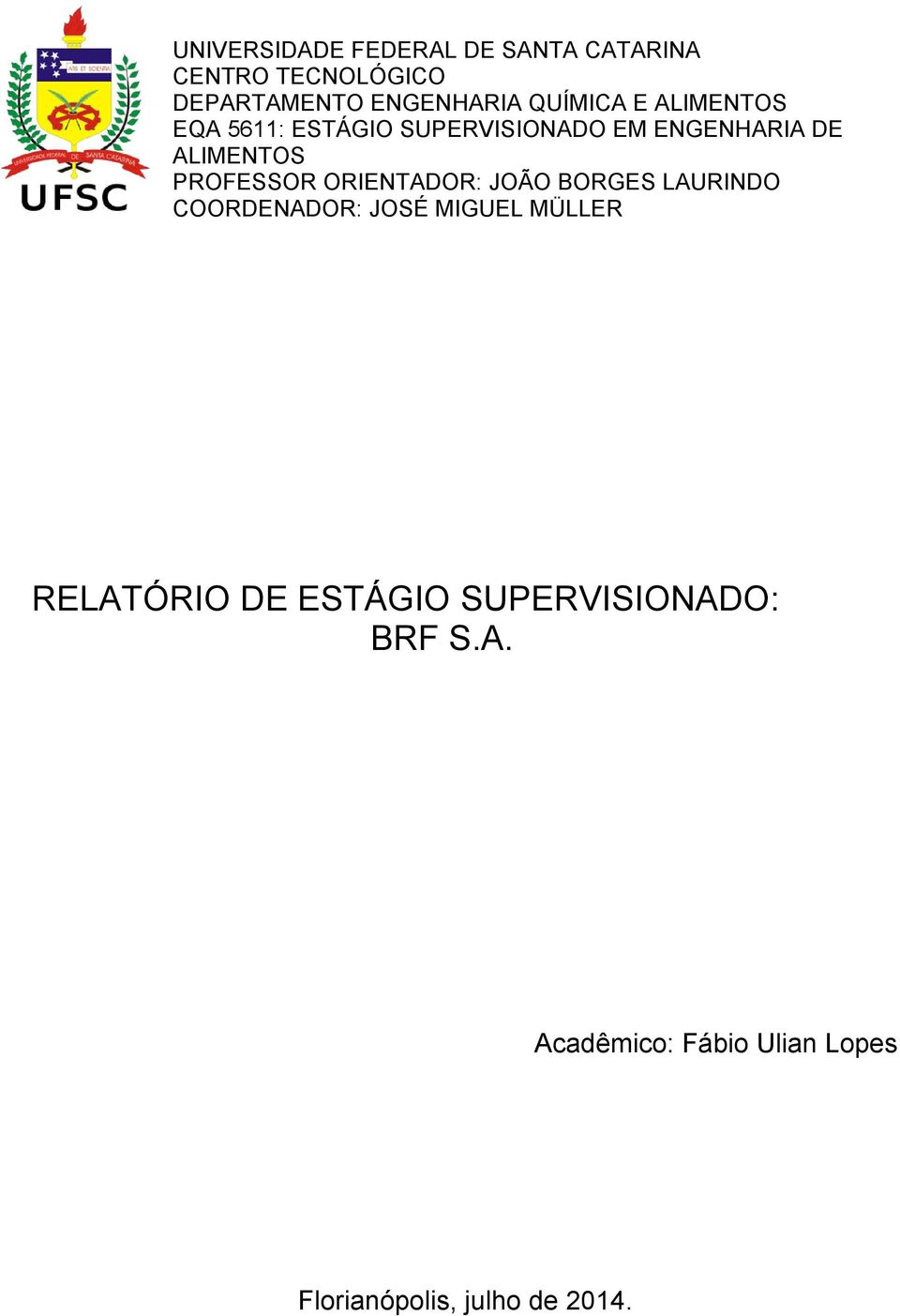 PROFESSOR ORIENTADOR: JOÃO BORGES LAURINDO COORDENADOR: JOSÉ MIGUEL MÜLLER RELATÓRIO