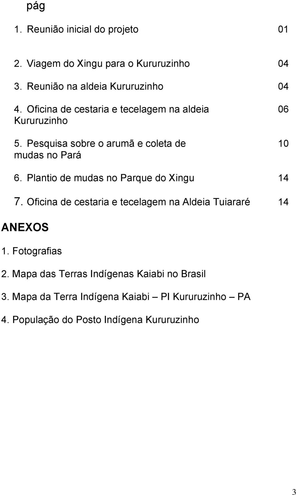 Plantio de mudas no Parque do Xingu 14 7. Oficina de cestaria e tecelagem na Aldeia Tuiararé 14 ANEXOS 1. Fotografias 2.