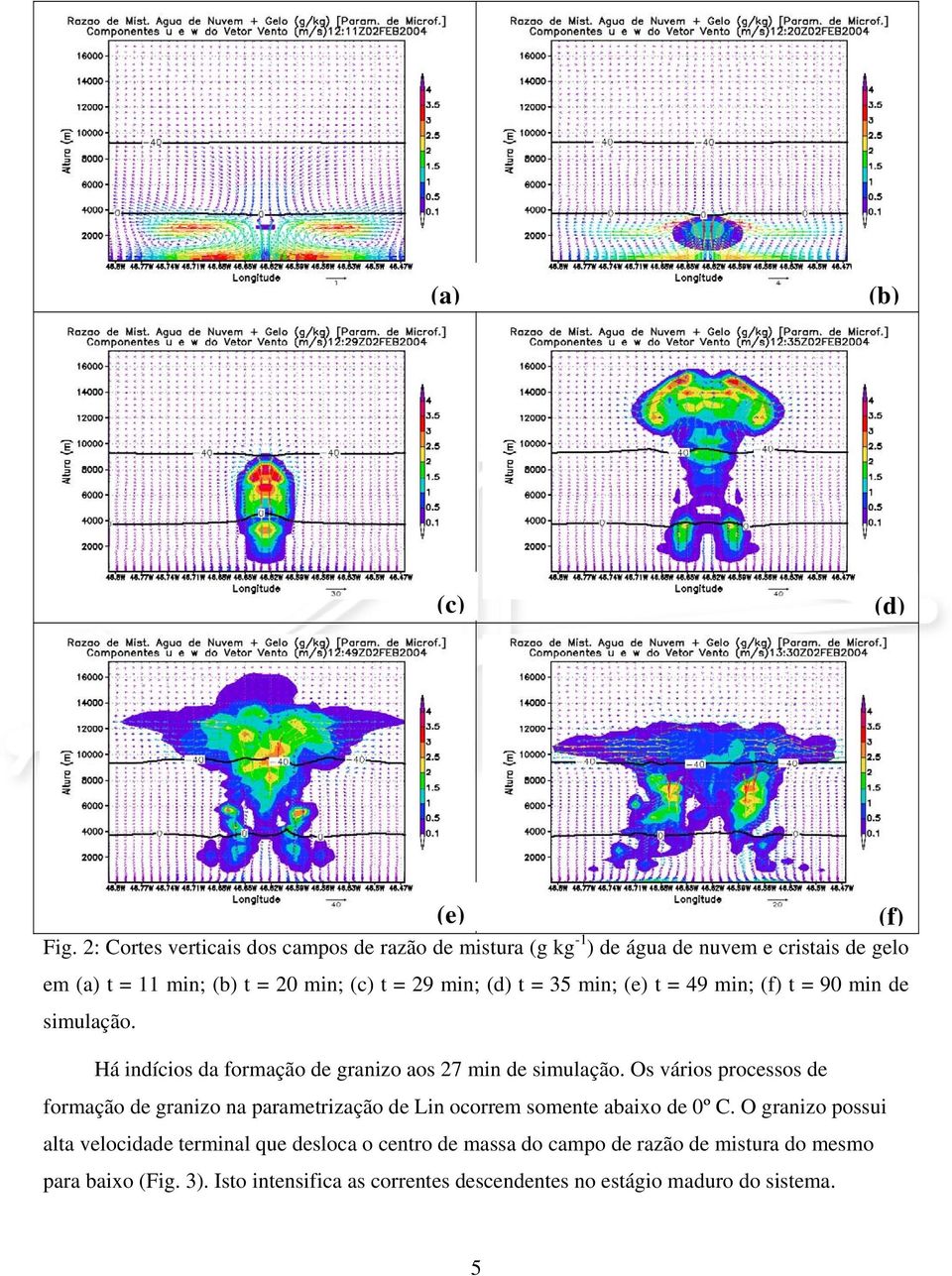 (d) t = 35 min; (e) t = 49 min; (f) t = 90 min de simulação. Há indícios da formação de granizo aos 27 min de simulação.