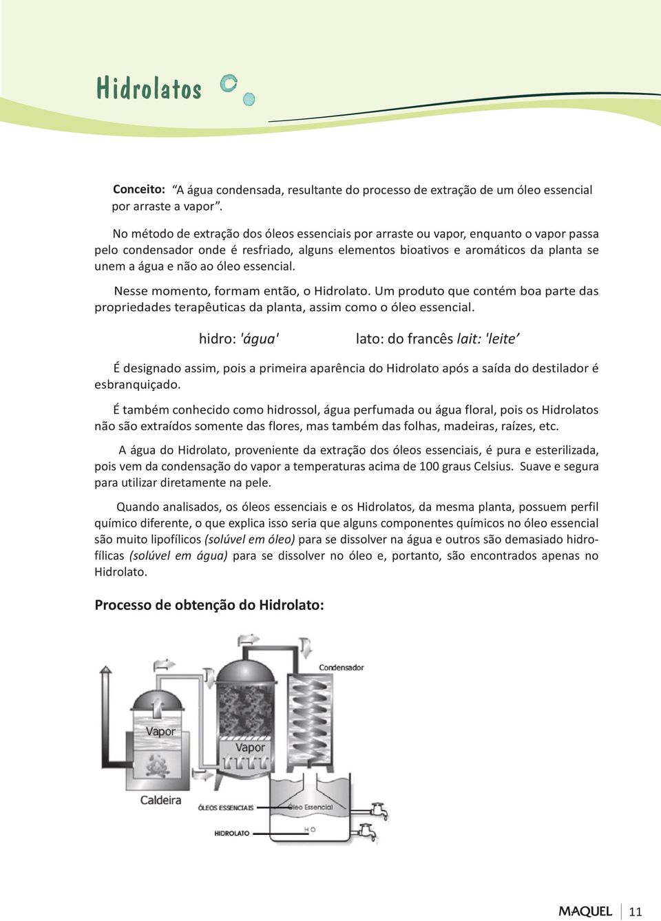 óleo essencial. Nesse momento, formam então, o Hidrolato. Um produto que contém boa parte das propriedades terapêuticas da planta, assim como o óleo essencial.