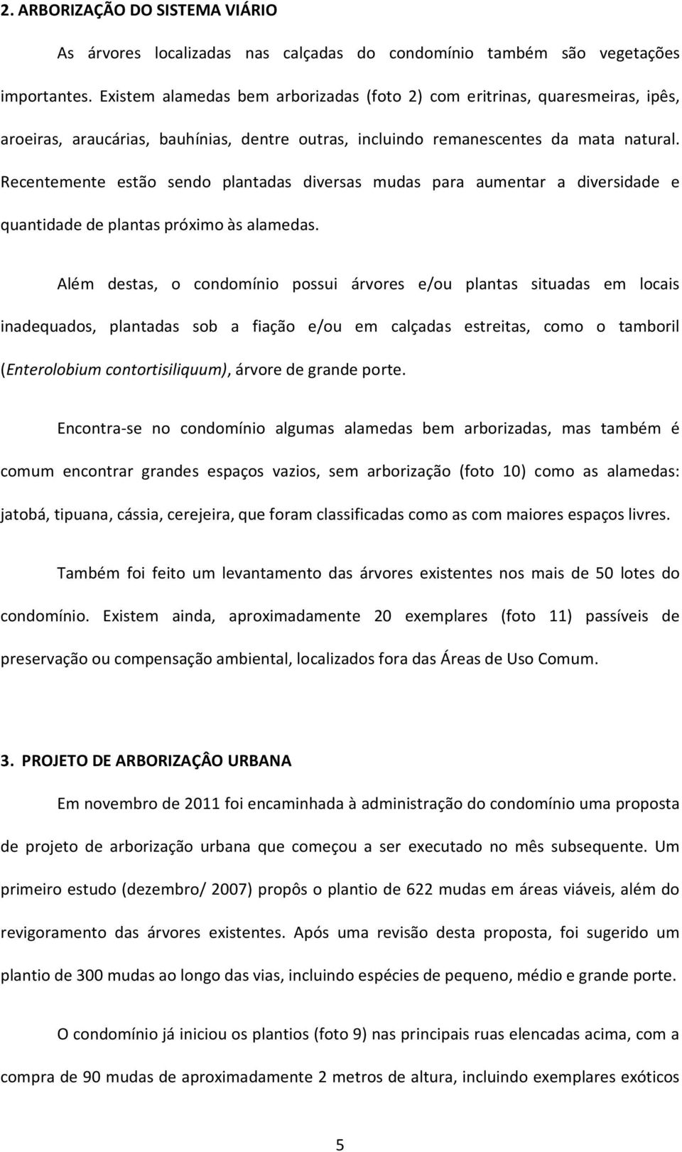 Recentemente estão sendo plantadas diversas mudas para aumentar a diversidade e quantidade de plantas próximo às alamedas.