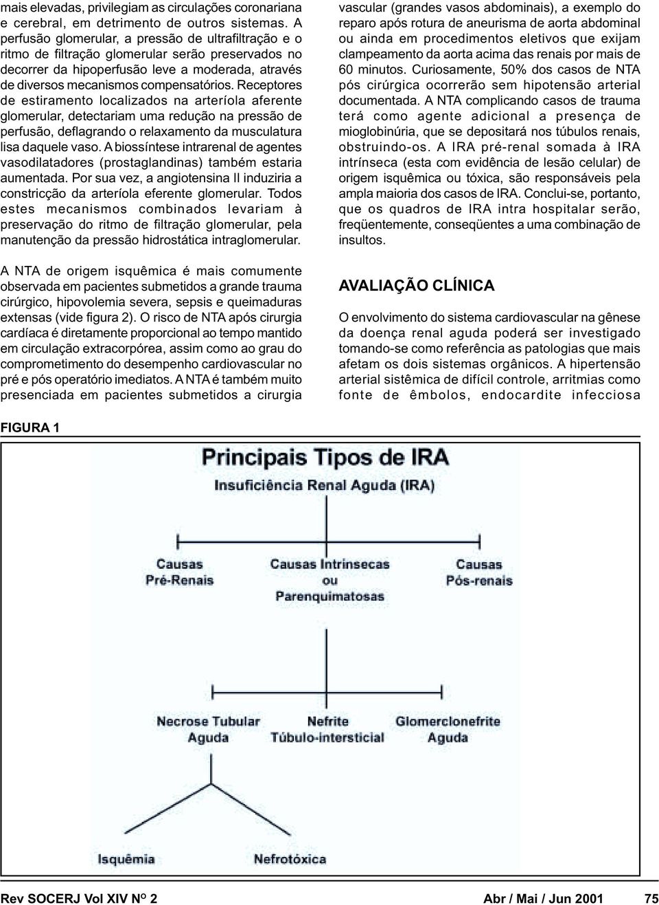 Receptores de estiramento localizados na arteríola aferente glomerular, detectariam uma redução na pressão de perfusão, deflagrando o relaxamento da musculatura lisa daquele vaso.