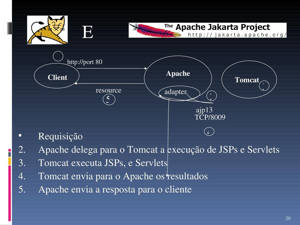 adapter Tomcat 2 3 ajp13 TCP/8009 4 Requisição Apache delega para o