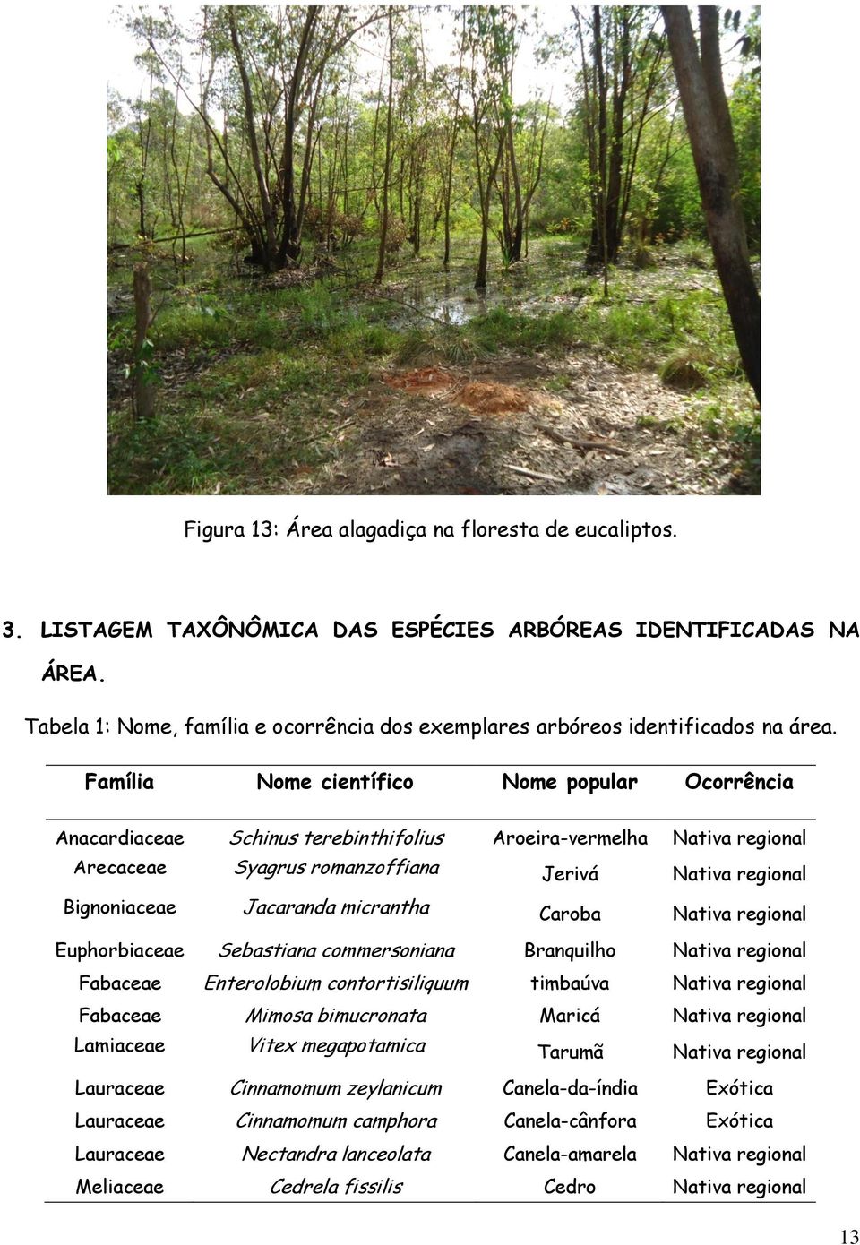 Família Nome científico Nome popular Ocorrência Anacardiaceae Schinus terebinthifolius Aroeira-vermelha Nativa regional Arecaceae Syagrus romanzoffiana Jerivá Nativa regional Bignoniaceae Jacaranda