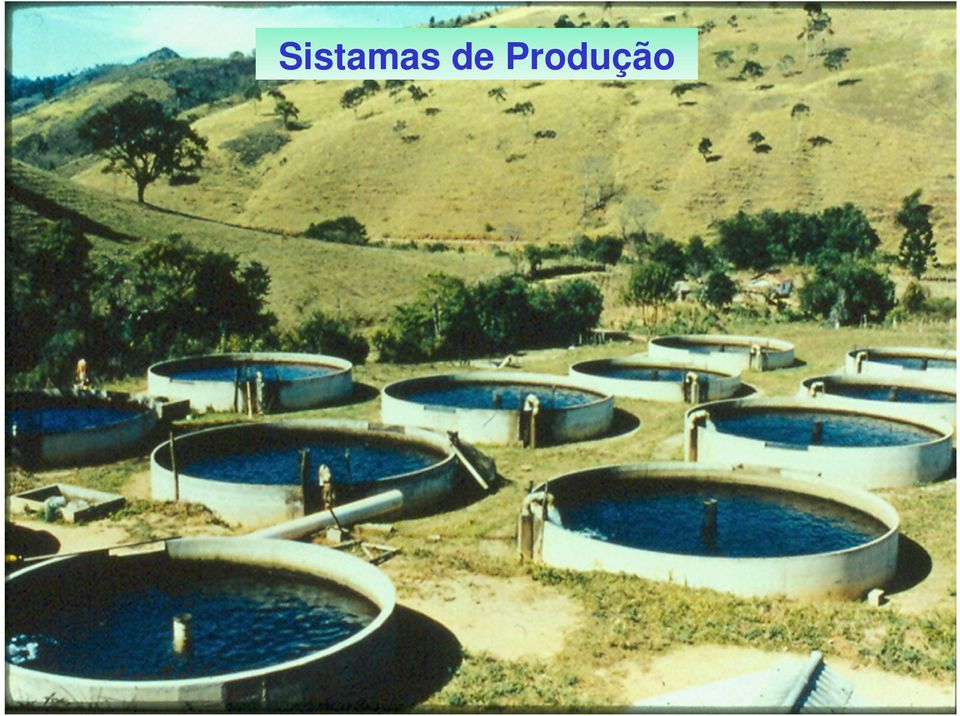 Sistamas de Produção Iraí de