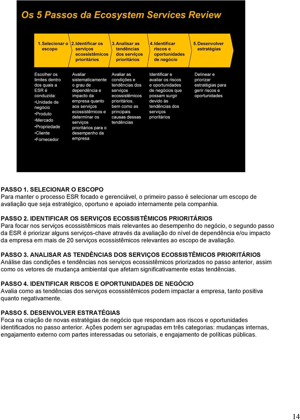 IDENTIFICAR OS SERVIÇOS ECOSSISTÊMICOS PRIORITÁRIOS Para focar nos serviços ecossistêmicos mais relevantes ao desempenho do negócio, o segundo passo da ESR é priorizar alguns serviços-chave através