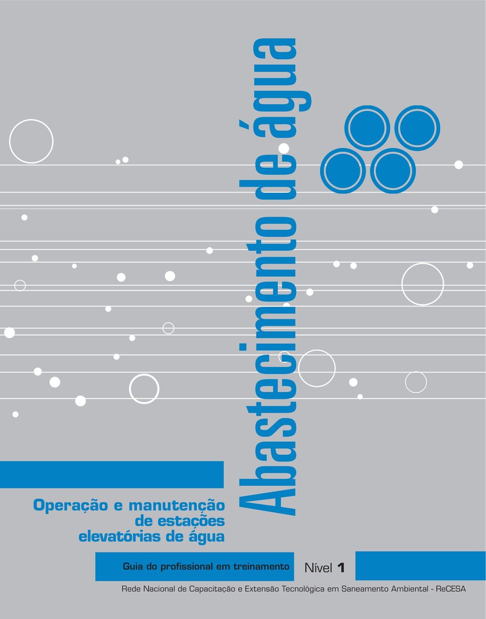 treinamento Nível 1 Rede Nacional de Capacitação e