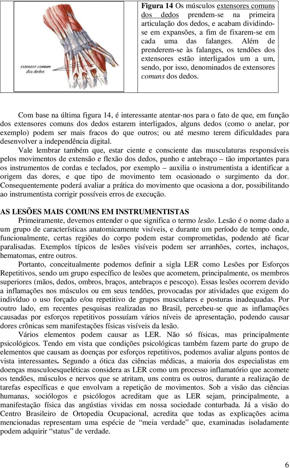 Com base na última figura 14, é interessante atentar-nos para o fato de que, em função dos extensores comuns dos dedos estarem interligados, alguns dedos (como o anelar, por exemplo) podem ser mais