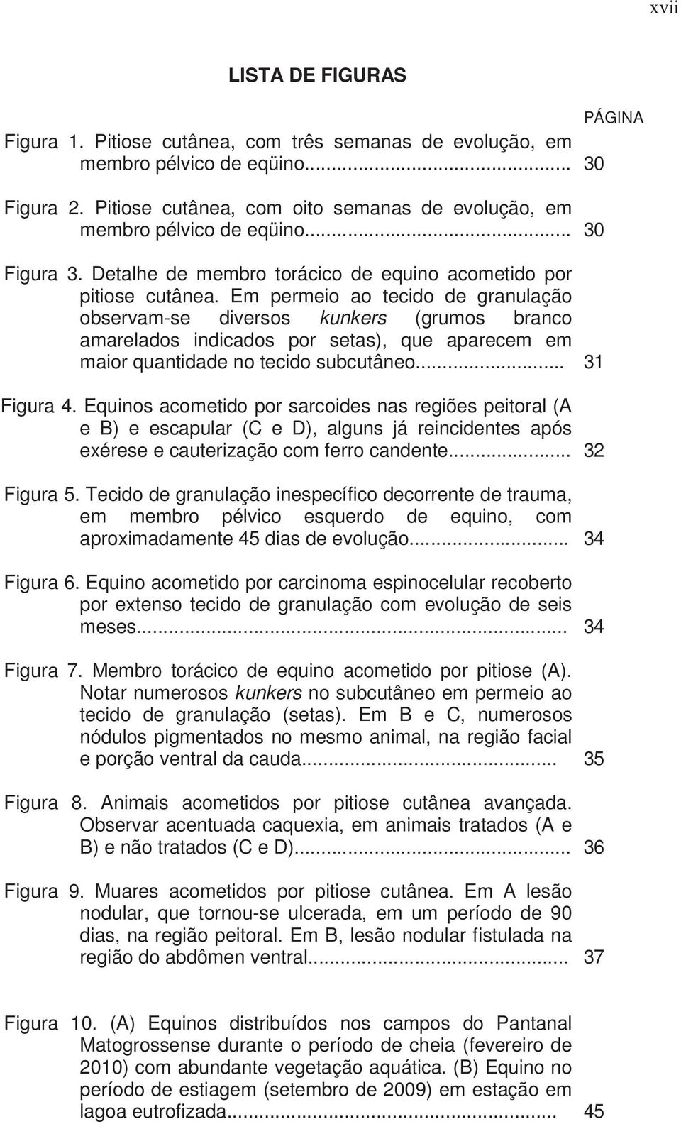 Em permeio ao tecido de granulação observam-se diversos kunkers (grumos branco amarelados indicados por setas), que aparecem em maior quantidade no tecido subcutâneo... 31 Figura 4.