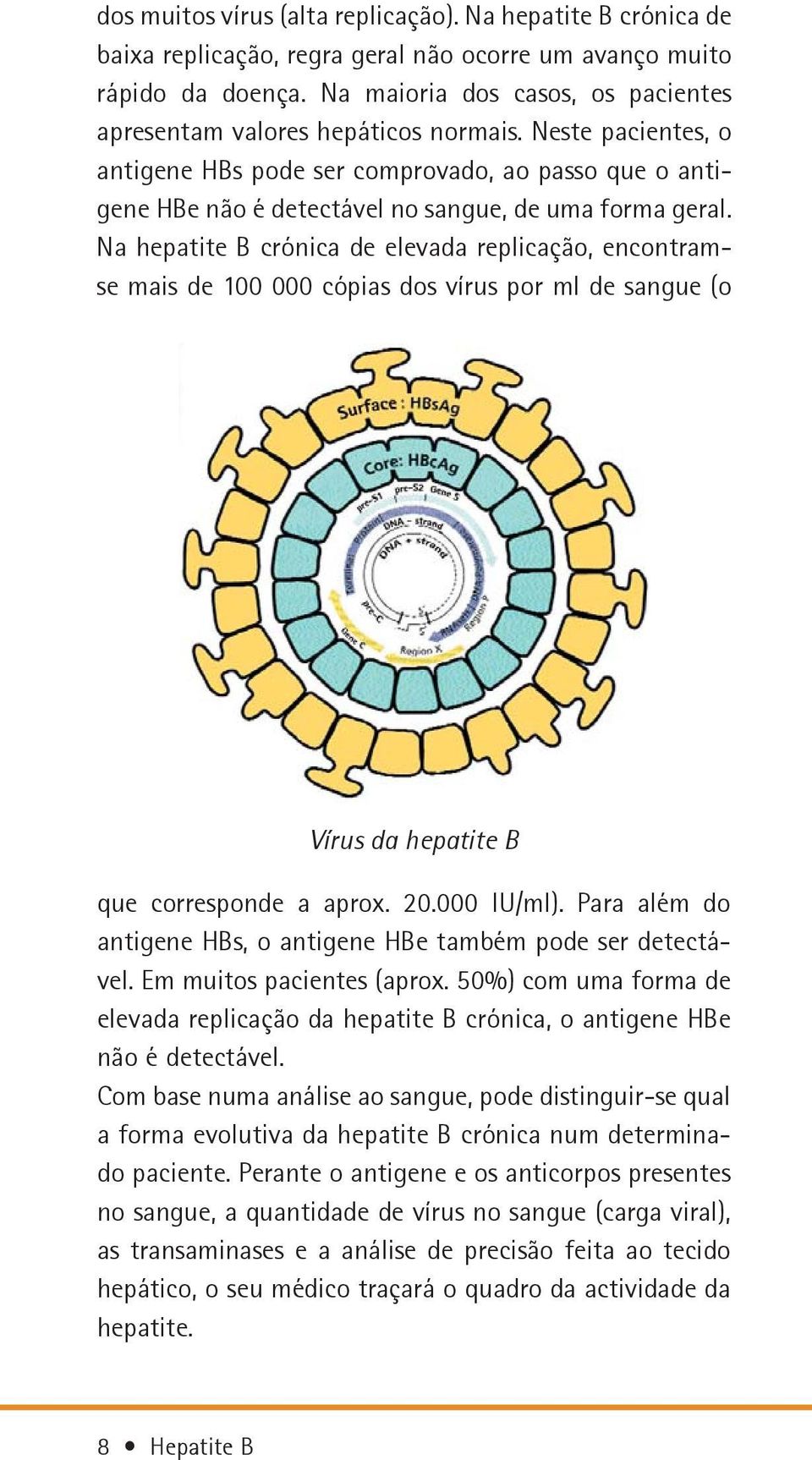 Neste pacientes, o antigene HBs pode ser comprovado, ao passo que o antigene HBe não é detectável no sangue, de uma forma geral.