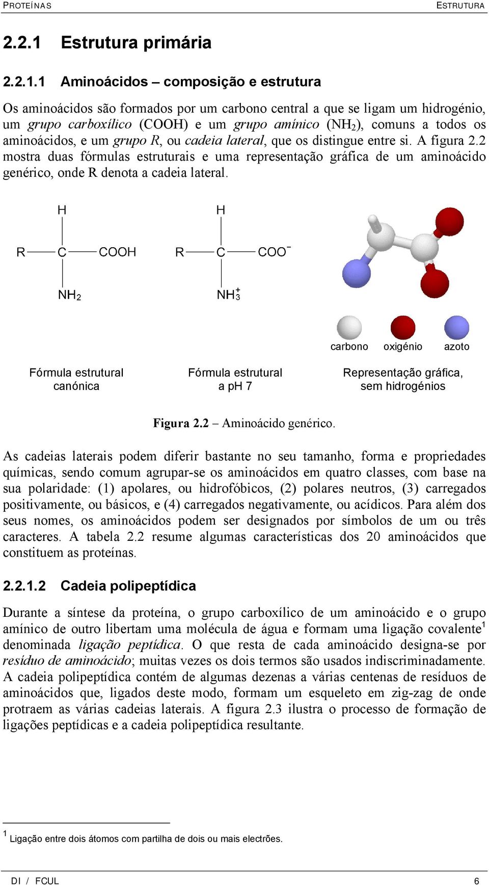 1 Aminoácidos composição e estrutura Os aminoácidos são formados por um carbono central a que se ligam um hidrogénio, um grupo carboxílico (COOH) e um grupo amínico (NH 2 ), comuns a todos os