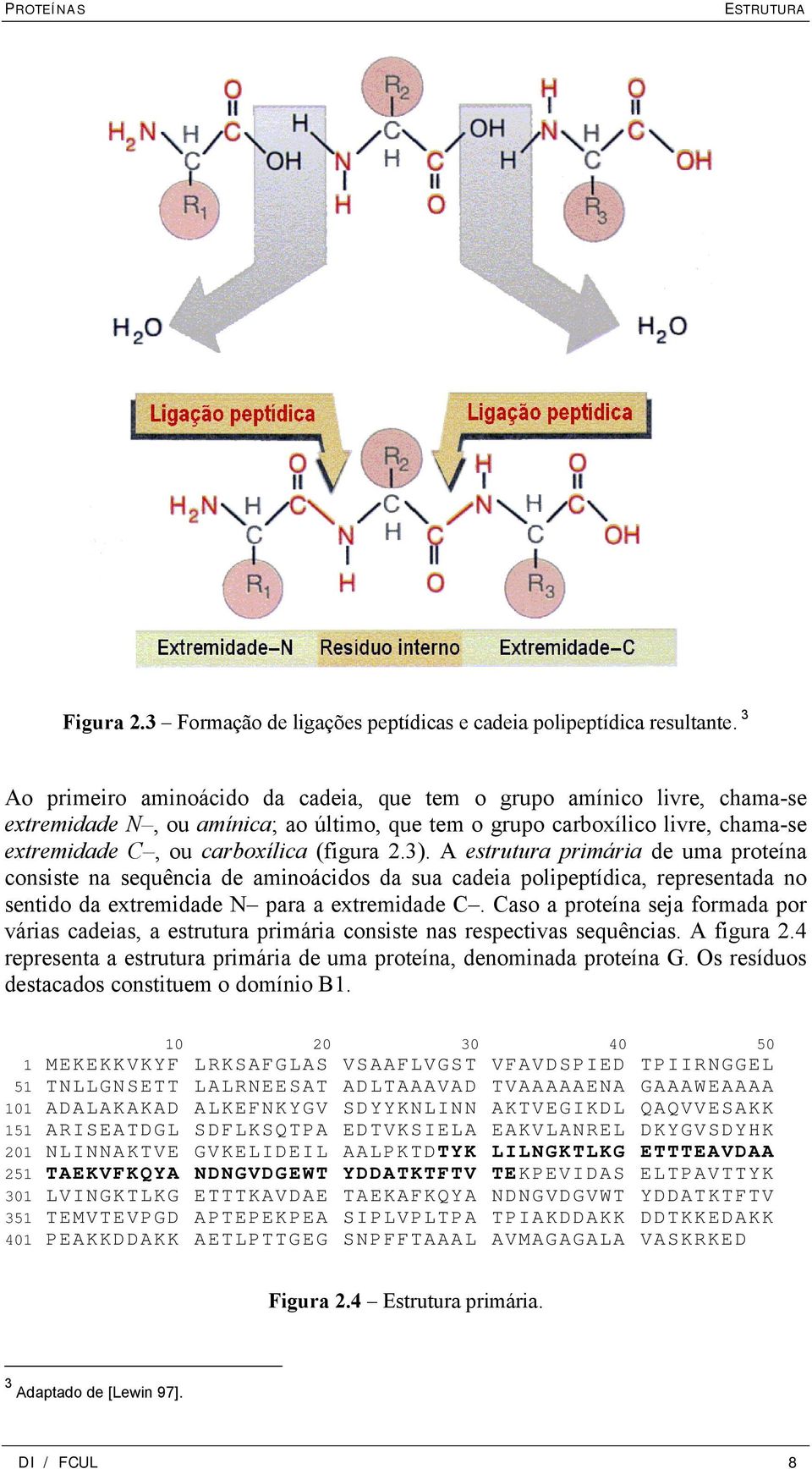 3). A estrutura primária de uma proteína consiste na sequência de aminoácidos da sua cadeia polipeptídica, representada no sentido da extremidade N para a extremidade C.