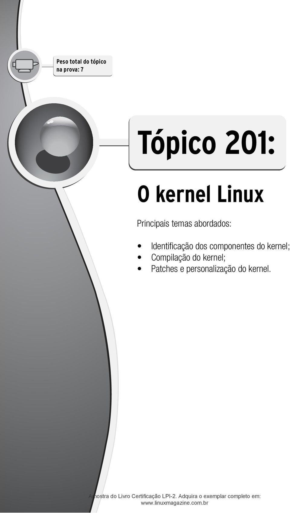 Identificação dos componentes do kernel;