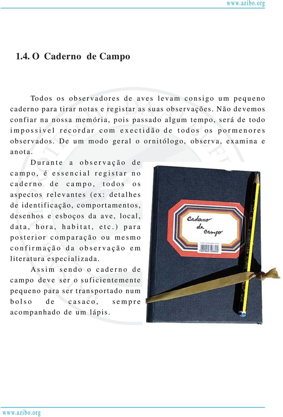 De um modo geral o ornitólogo, observa, examina e anota.