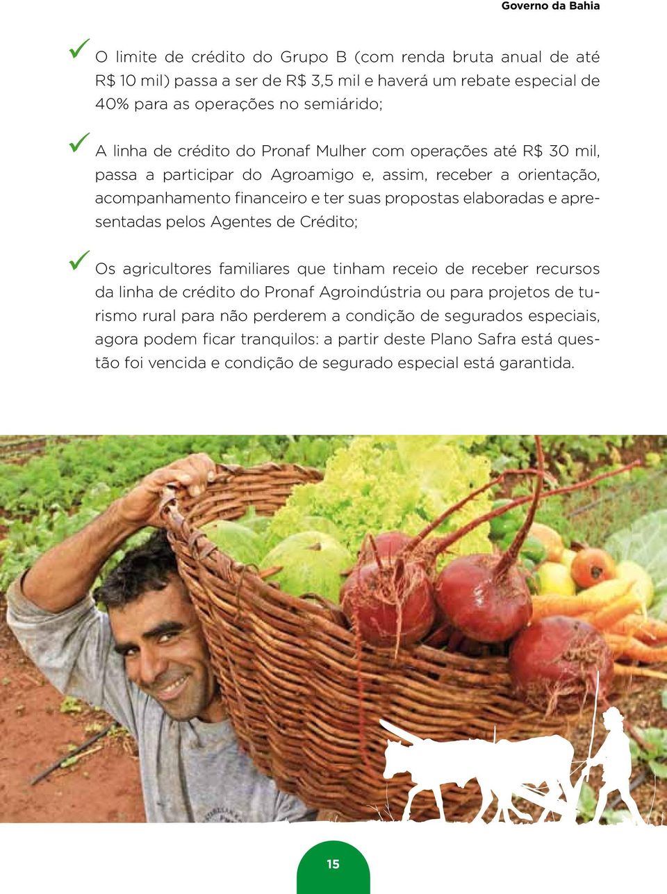 elaboradas e apresentadas pelos Agentes de Crédito; 99Os agricultores familiares que tinham receio de receber recursos da linha de crédito do Pronaf Agroindústria ou para projetos de