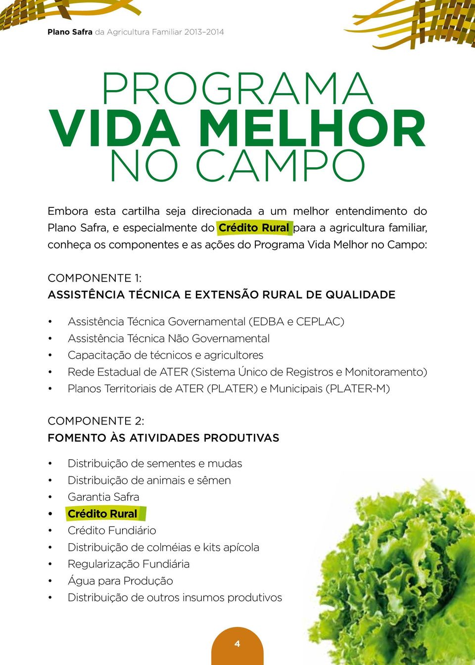 CEPLAC) Assistência Técnica Não Governamental Capacitação de técnicos e agricultores Rede Estadual de ATER (Sistema Único de Registros e Monitoramento) Planos Territoriais de ATER (PLATER) e