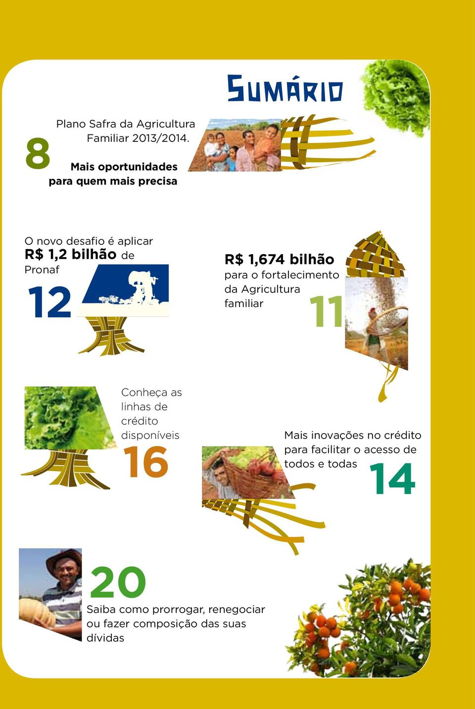 12 R$ 1,674 bilhão para o fortalecimento da Agricultura familiar 11 Conheça as linhas de crédito