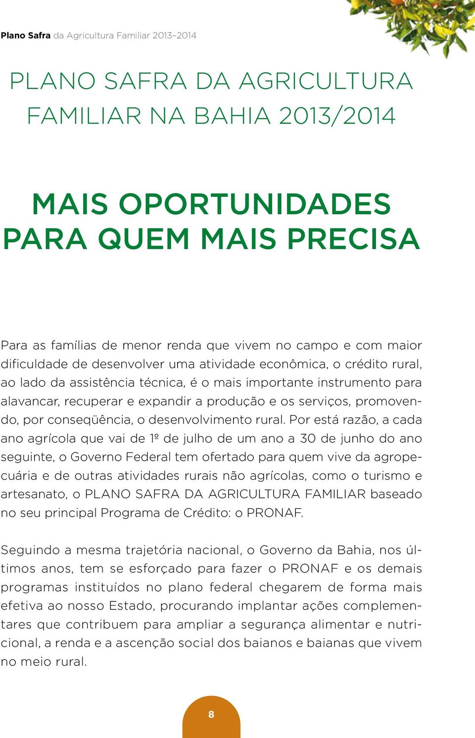 serviços, promovendo, por conseqüência, o desenvolvimento rural.