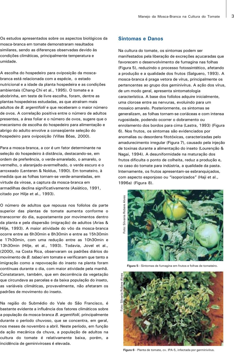 A escolha do hospedeiro para oviposição da moscabranca está relacionada com a espécie, o estado nutricional e a idade da planta hospedeira e as condições ambientais (Chang-Chi et al., 1995).