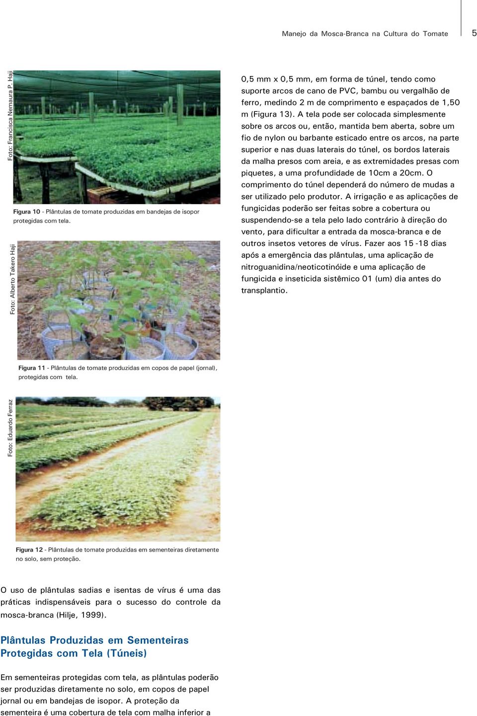 A tela pode ser colocada simplesmente sobre os arcos ou, então, mantida bem aberta, sobre um fio de nylon ou barbante esticado entre os arcos, na parte superior e nas duas laterais do túnel, os