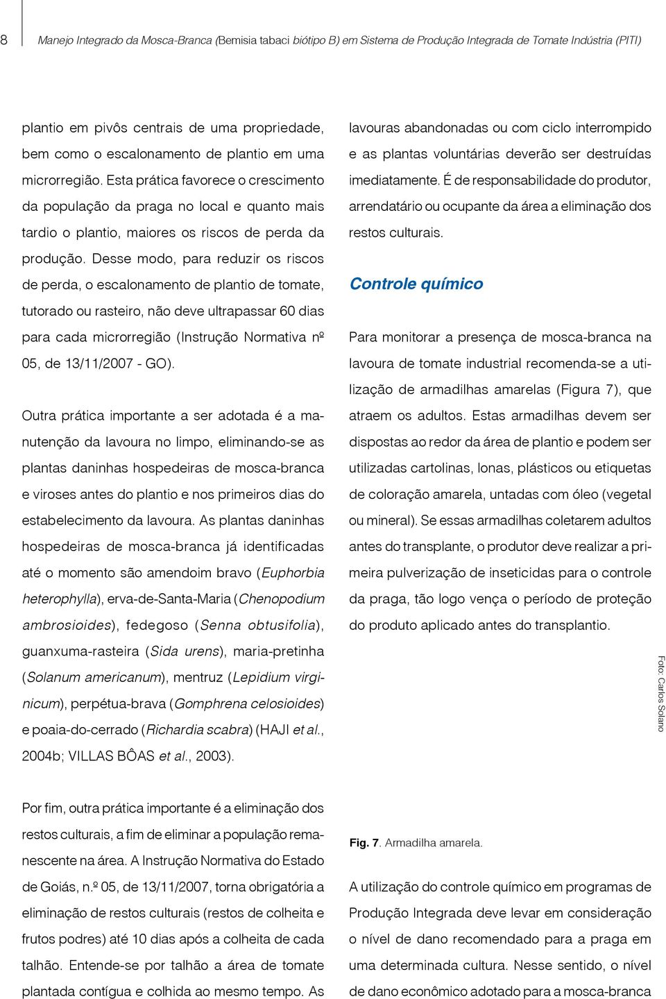 Desse modo, para reduzir os riscos de perda, o escalonamento de plantio de tomate, tutorado ou rasteiro, não deve ultrapassar 60 dias para cada microrregião (Instrução Normativa nº 05, de 13/11/200 -